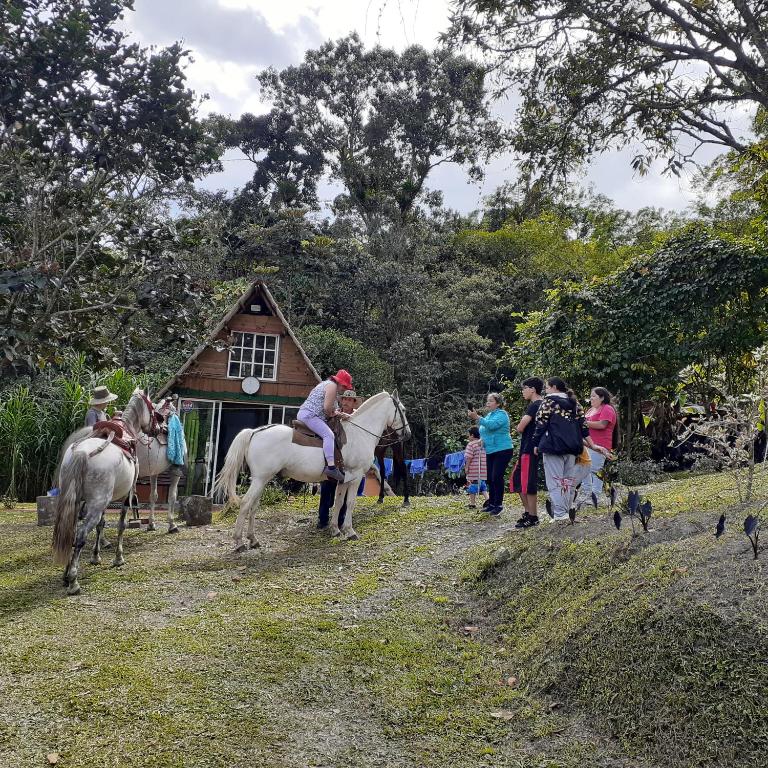 Glamping eco descanso la vega Nocaima - Chalet de 3 dormitorios - 33