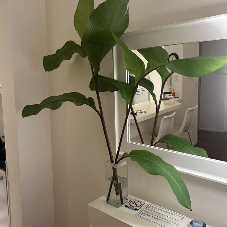 Apartamento en Recoleta - Superior Apartment - 19