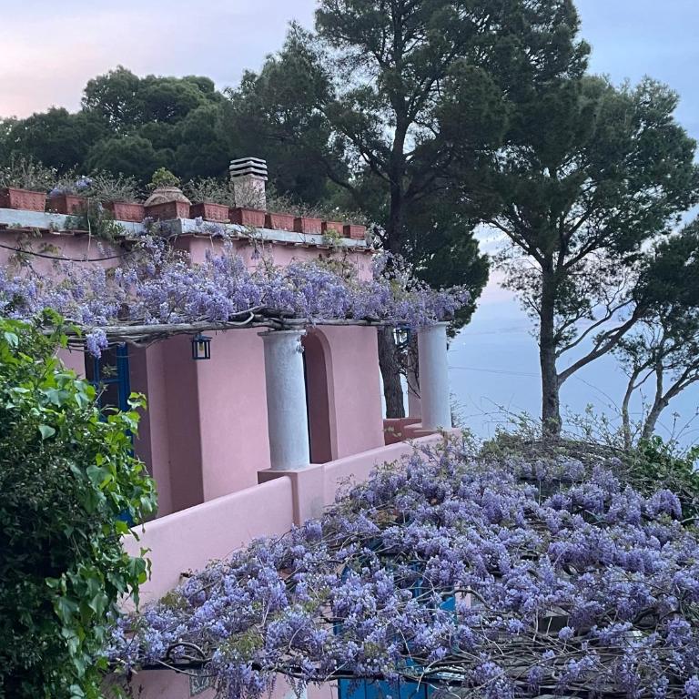 La Casa nel Bosco - King Room with Sea View - 10