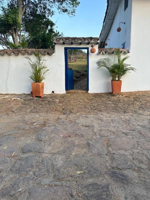 Finca las Tapias - Villa - 17
