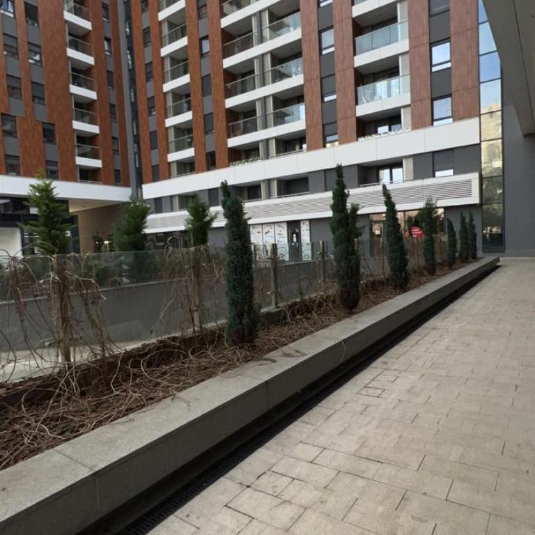 petica - Apartman sa 1 Spavaćom Sobom - 3