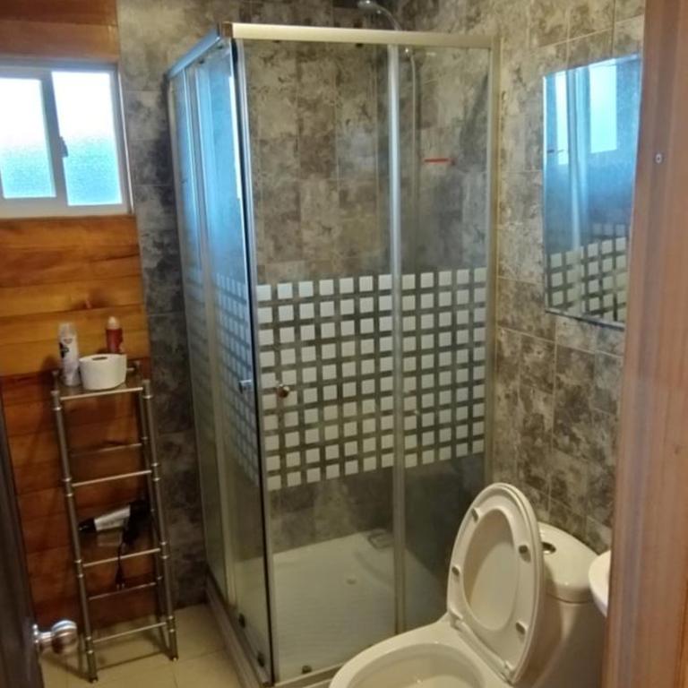 Cabaña Puyehue - Apartamento de 3 dormitorios - 9