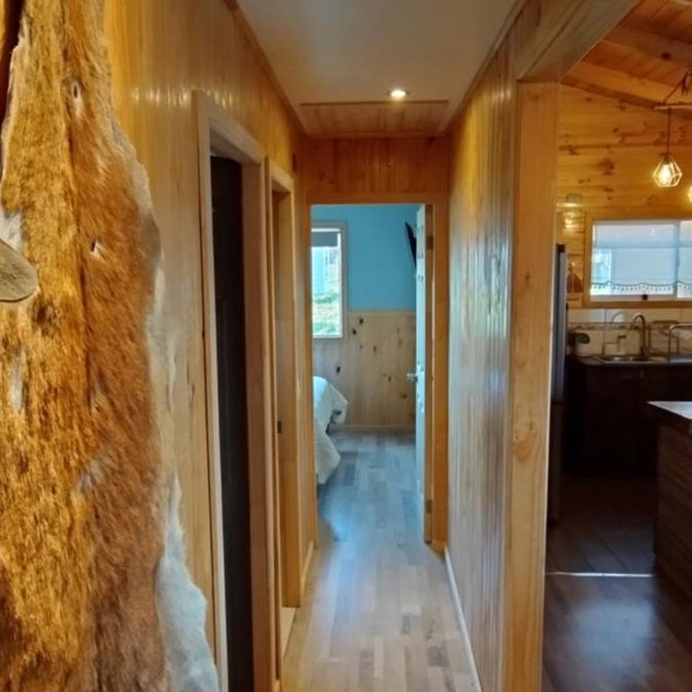Cabaña Puyehue - Apartamento de 3 dormitorios - 4