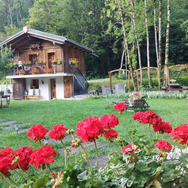 Calme et sérénité - établissement classé - Chalet 1 Chambre - 46