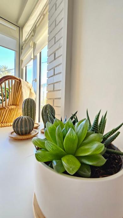 Boho Arenal Bol - Apartamento de 2 dormitorios con vistas al mar - 12