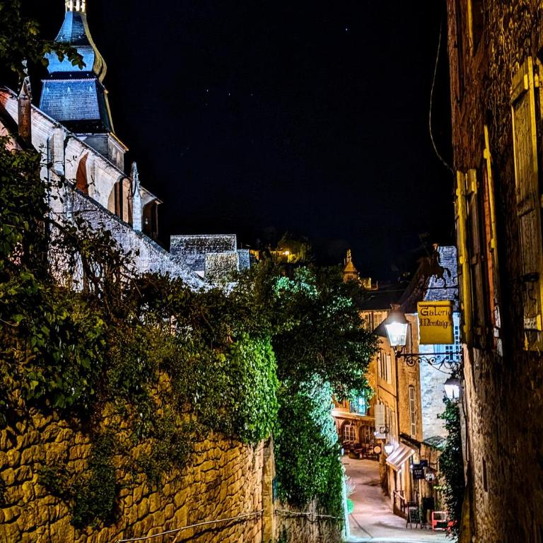 Centrally Located Sarlat Apartment with Medieval Town Views - Appartement - 16