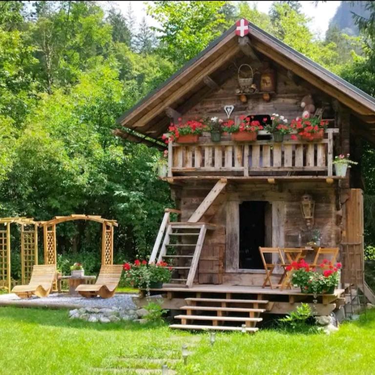 Amour & Chocolat - Chalet 1 Chambre - 46