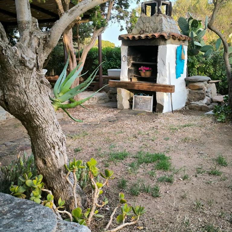Splendida villa in riva al mare- - Villa Fronte Spiaggia - 16