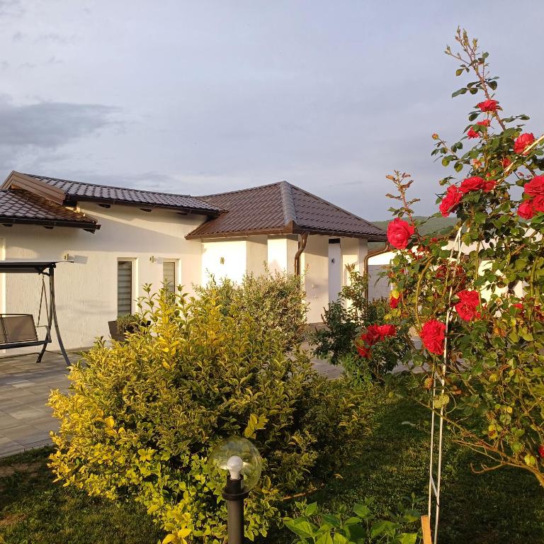 Family estate Hadžalova avlija - Six-Bedroom House - 37
