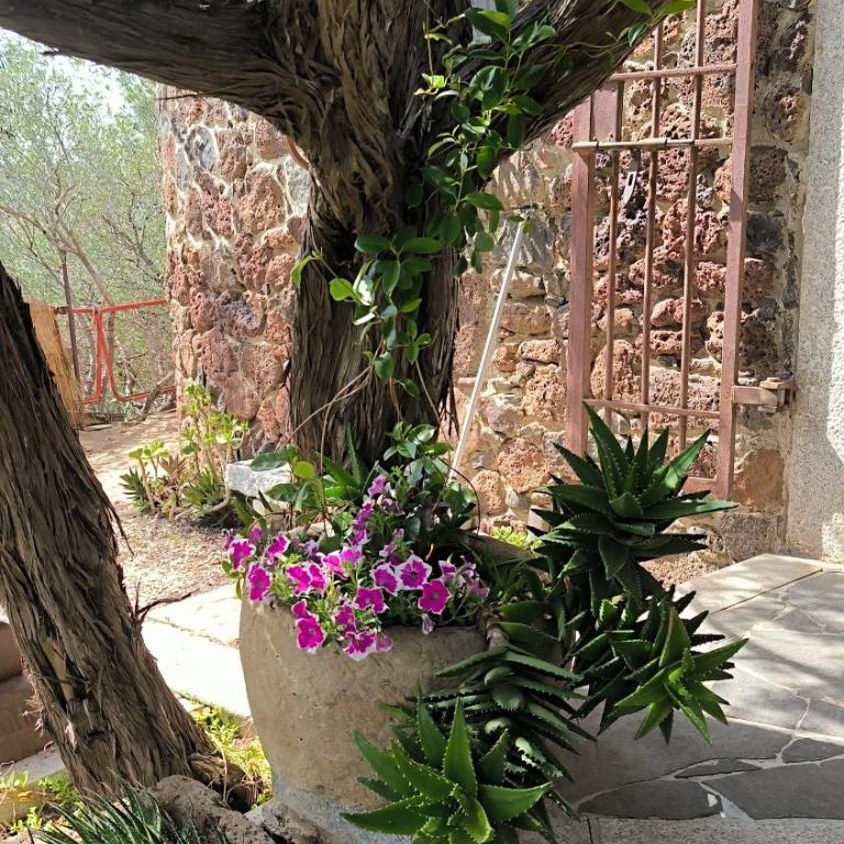 Splendida villa in riva al mare- - Villa Fronte Spiaggia - 14