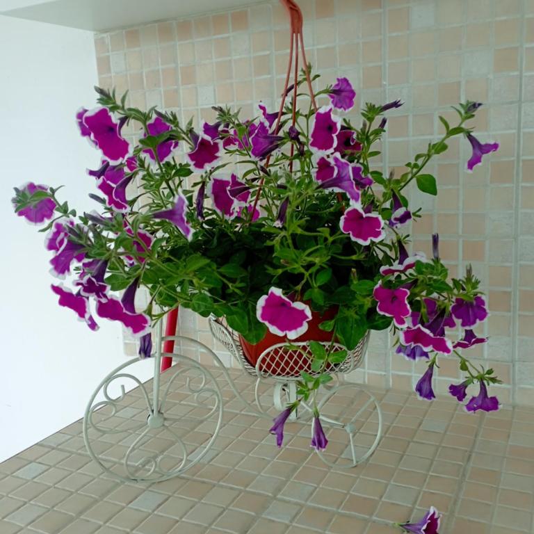 Casa bluchic Gioisia - Apartamento de 2 dormitorios - 6