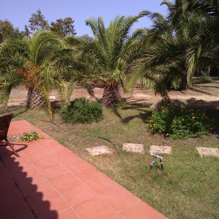 Villasimius - Notteri - spiaggia del giunco - VILLA ANTONELLO - Villa - 22