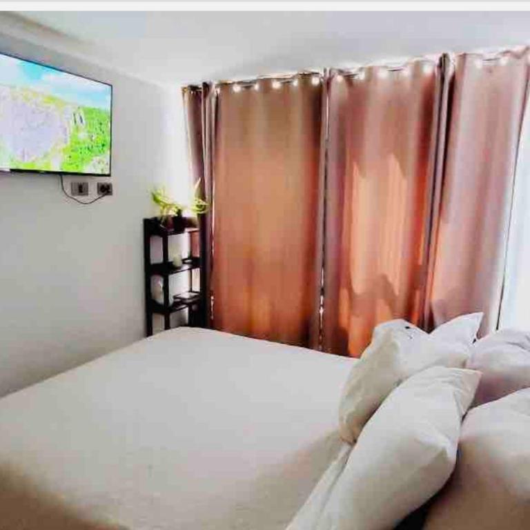 A23 Metro Matta Fantasilandia Parque OHiggins - One-Bedroom Apartment - 43
