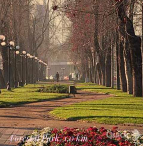 A23 Metro Matta Fantasilandia Parque OHiggins - One-Bedroom Apartment - 53