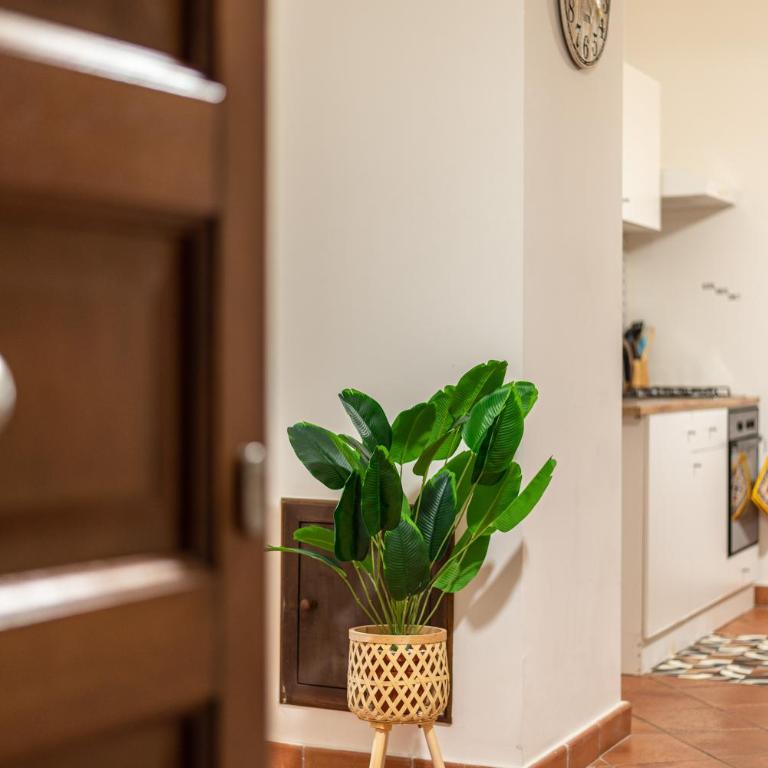 Good Vibes apartment nel centro storico - Appartamento con 1 Camera da Letto - 5