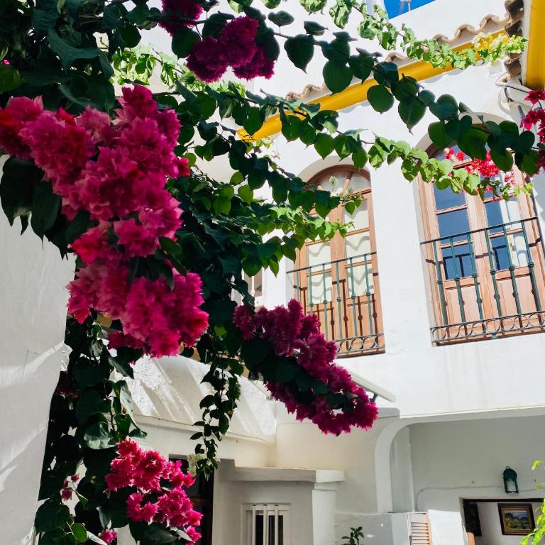 Tarifa Townhouse - Apartamento de 2 dormitorios - 16