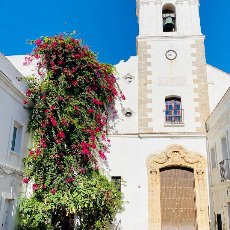Tarifa Townhouse - Apartamento de 2 dormitorios - 17