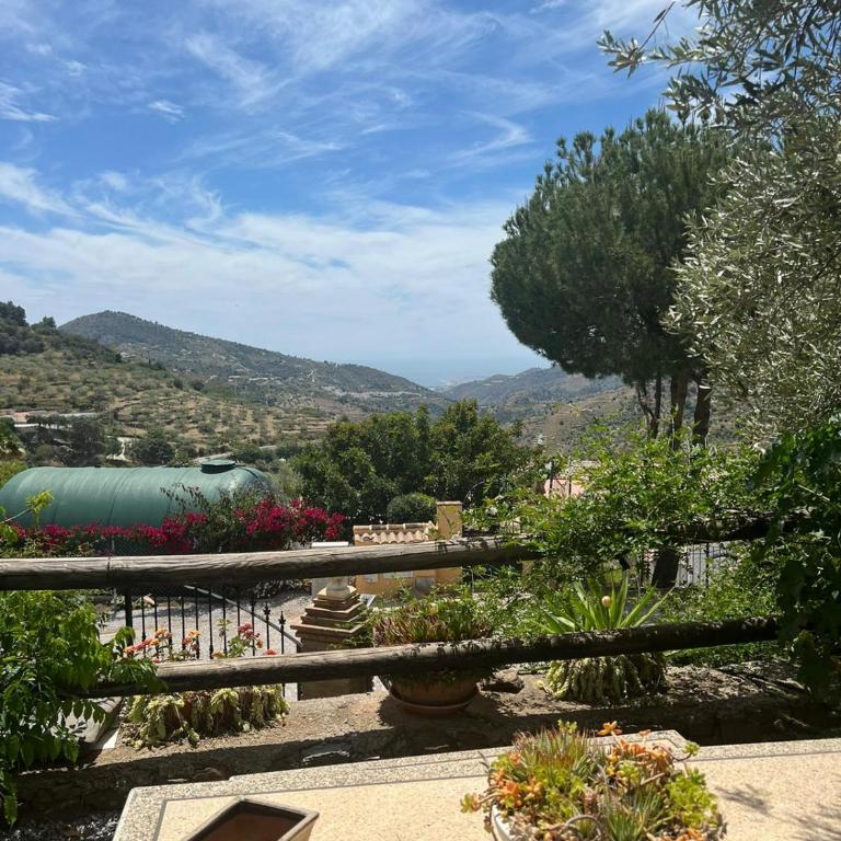 Los Olivos - Villa de 3 dormitorios - 17