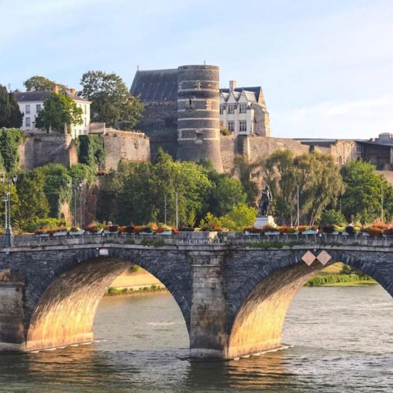 Angers Centre- Gare - Chateau - Duplex 2 chambres - Appartement 2 Chambres - 1