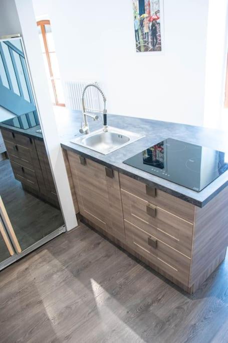Angers Centre- Gare - Chateau - Duplex 2 chambres - Appartement 2 Chambres - 6