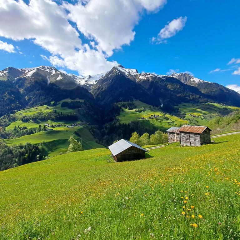 LAAX Central Holiday Apartment with Pool & Sauna - Apartment mit 1 Schlafzimmer - 46