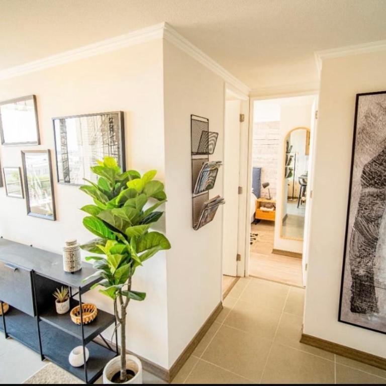 Velas del norte 1. - Two-Bedroom Apartment - 2