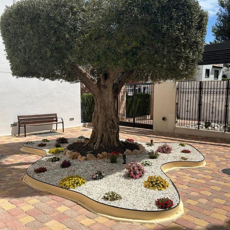 Casa Riva Elias, Residencial Linnea Sol, Orihuela Costa Villamartin - Apartamento de 2 dormitorios - 12