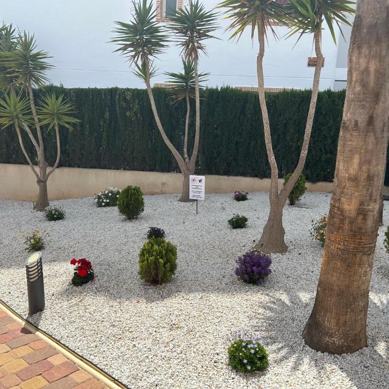 Casa Riva Elias, Residencial Linnea Sol, Orihuela Costa Villamartin - Apartamento de 2 dormitorios - 14