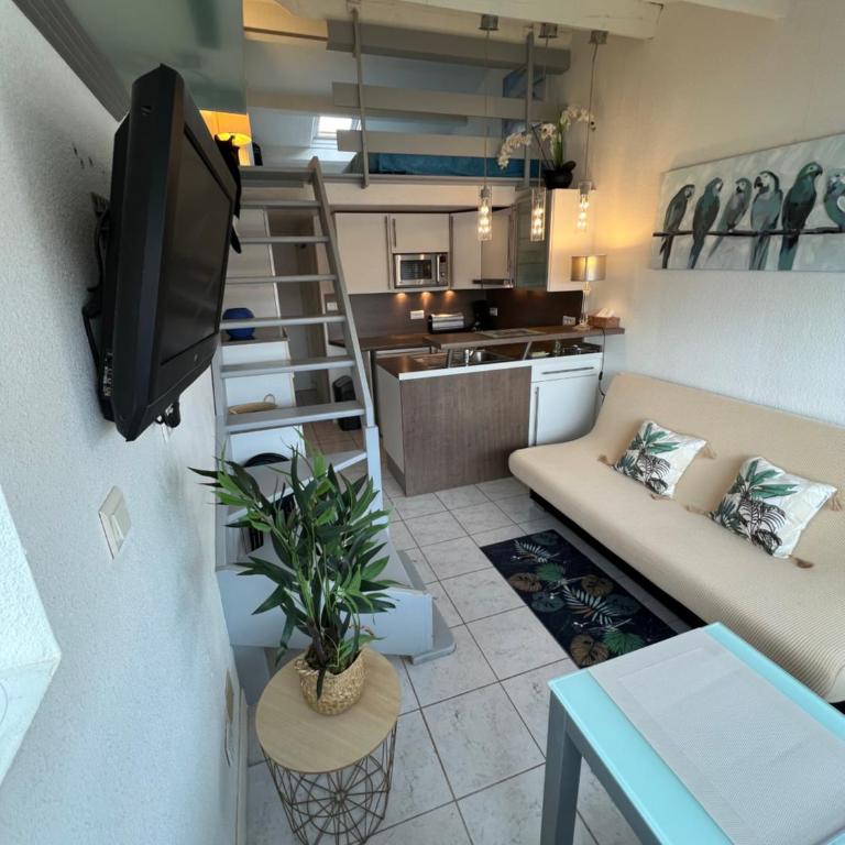 Grand studio vue piscine - plage naturiste à 100m - Appartement 1 Chambre - 14
