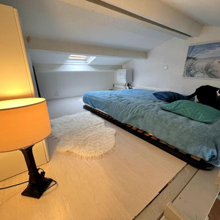 Grand studio vue piscine - plage naturiste à 100m - Appartement 1 Chambre - 10