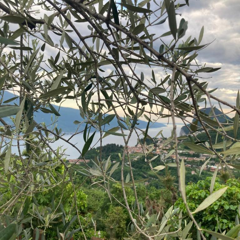 Casa Amici - Appartamento con 2 Camere da Letto - 43