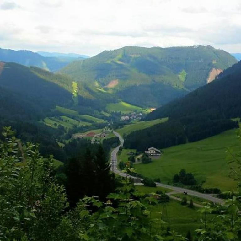 Charmante Ferienwohnung in Vordernberg - Alpenidylle pur - Apartment mit 2 Schlafzimmern - 1