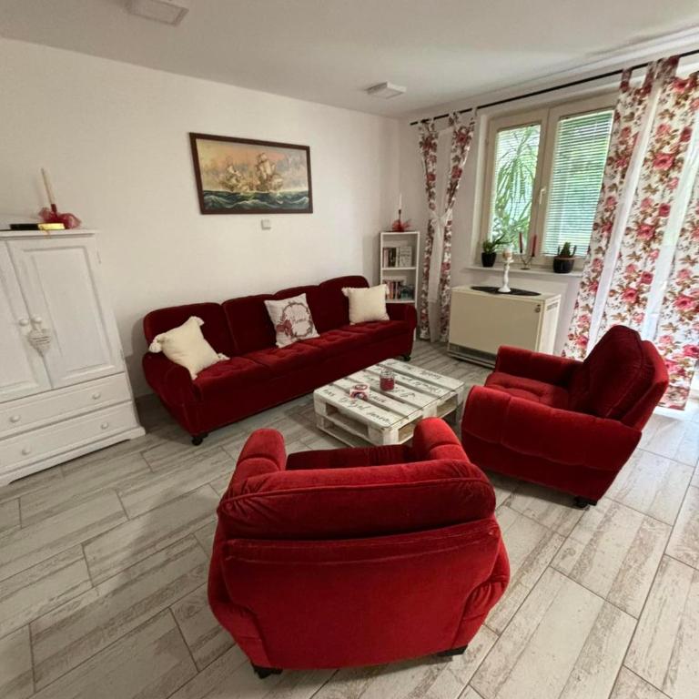 Apartmani Milanović Jagodina - Apartman sa 1 Spavaćom Sobom - 4