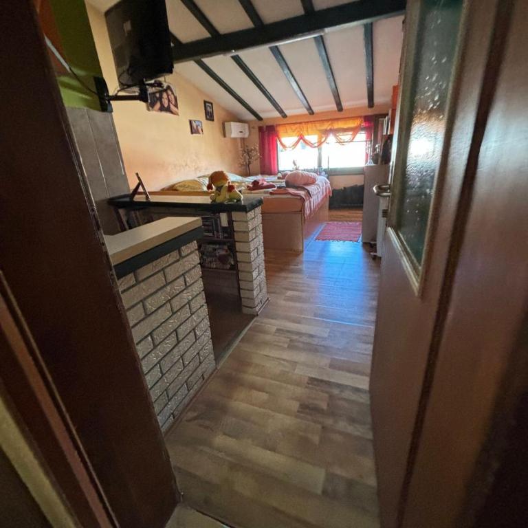 Apartmani Milanović Jagodina - Apartman sa 1 Spavaćom Sobom - 3