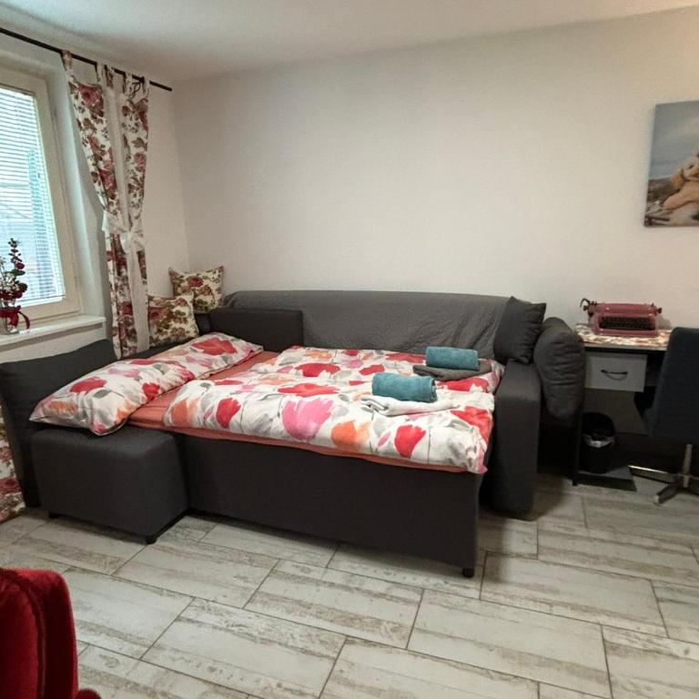 Apartmani Milanović Jagodina - Apartman sa 1 Spavaćom Sobom - 10