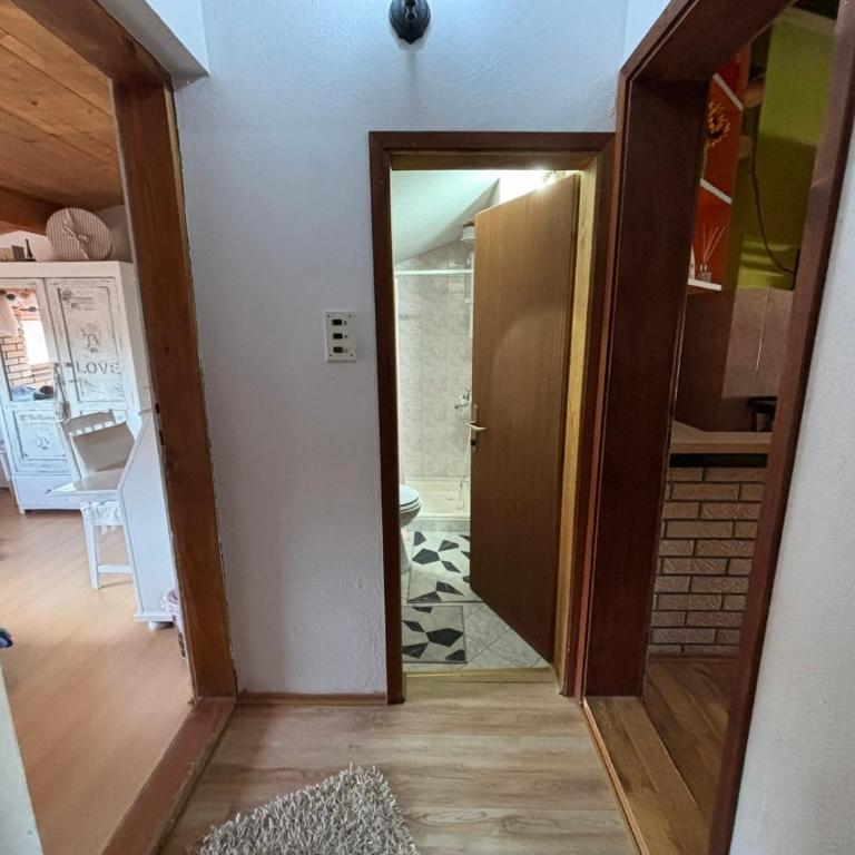 Apartmani Milanović Jagodina - Apartman sa 1 Spavaćom Sobom - 2