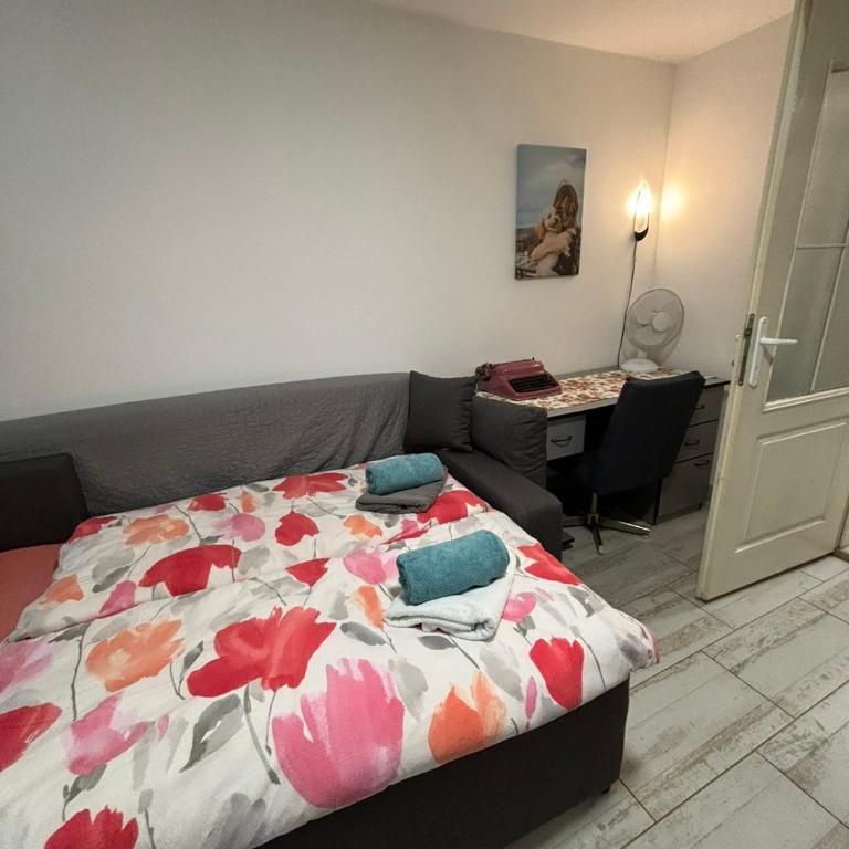 Apartmani Milanović Jagodina - Apartman sa 1 Spavaćom Sobom - 9