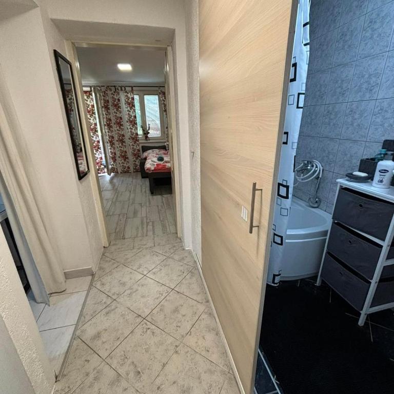 Apartmani Milanović Jagodina - Apartman sa 1 Spavaćom Sobom - 3