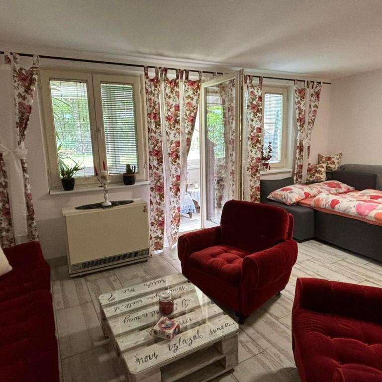 Apartmani Milanović Jagodina - Apartman sa 1 Spavaćom Sobom - 7