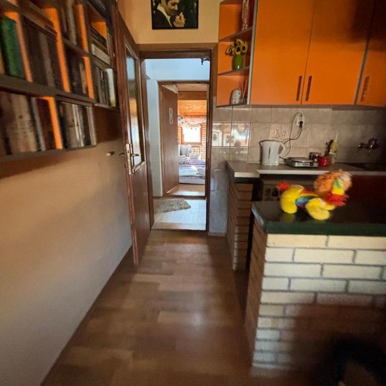 Apartmani Milanović Jagodina - Apartman sa 1 Spavaćom Sobom - 7