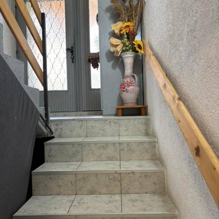 Apartmani Milanović Jagodina - Apartman sa 1 Spavaćom Sobom - 2