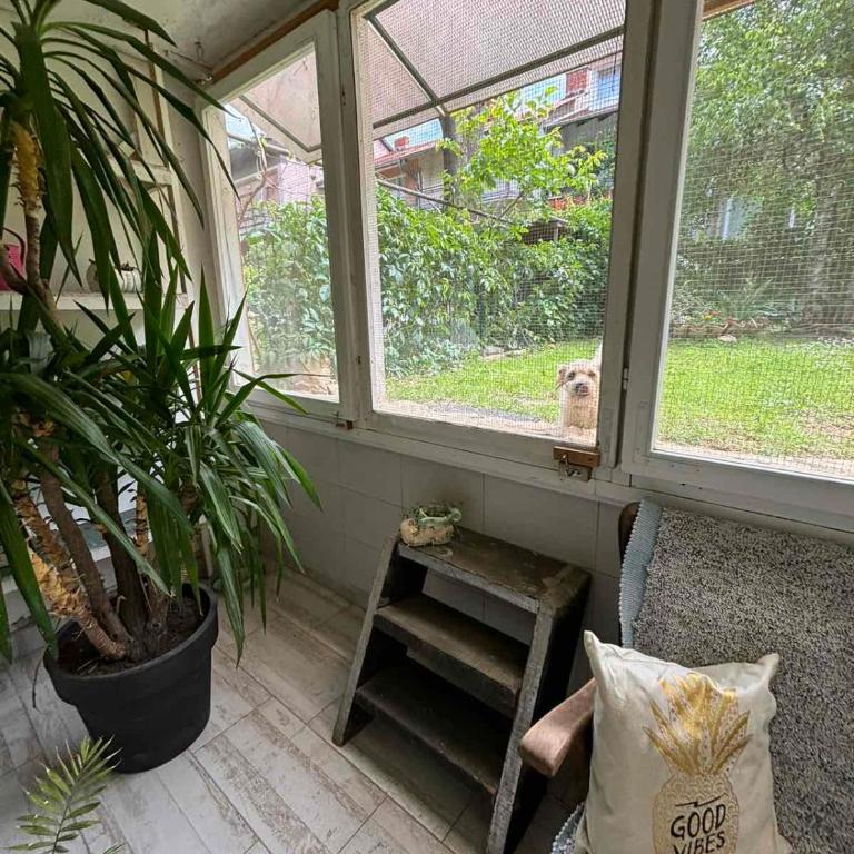 Apartmani Milanović Jagodina - Apartman sa 1 Spavaćom Sobom - 13
