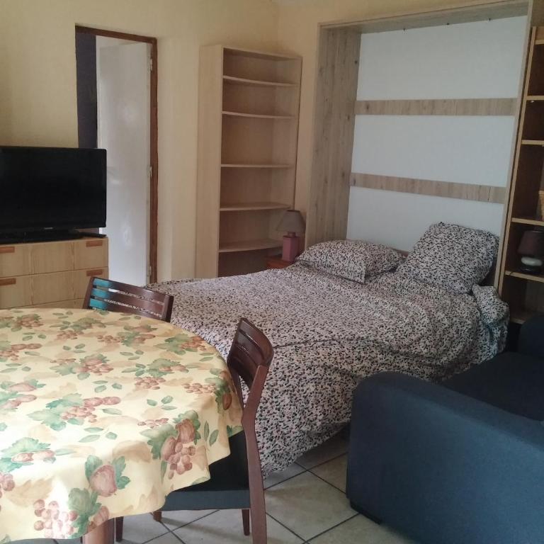 T1 47m2 + Jardin 60m2 - Casa con 1 dormitorio - 1