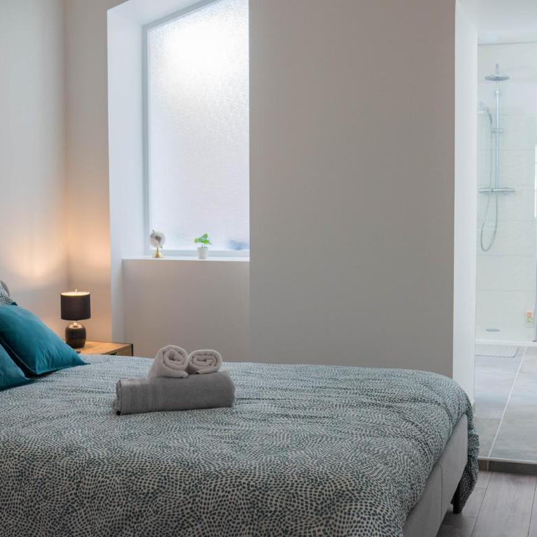 Gare - place Lafayette - Appartement - Appartement 1 Chambre - 12