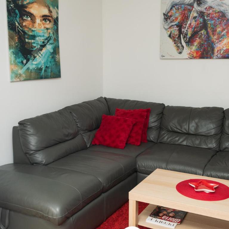 Comanda LUXURY APARTMENTS - Apartman sa 1 Spavaćom Sobom - 11