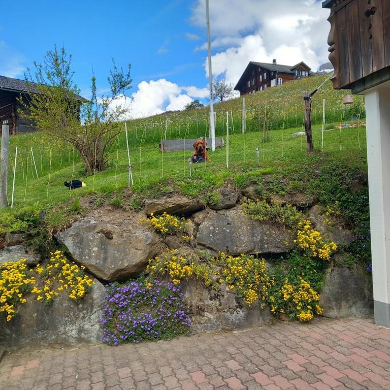 Chalet Pfyffer - Mountain view - Appartamento con 1 Camera da Letto - 4