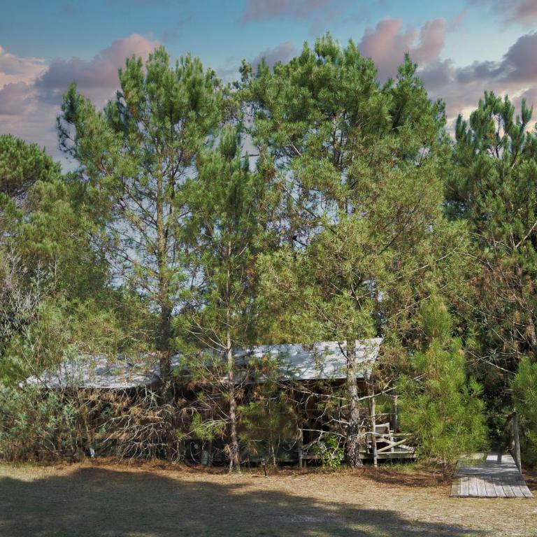 Lo Rey du Lac - Glamping Pod - 19