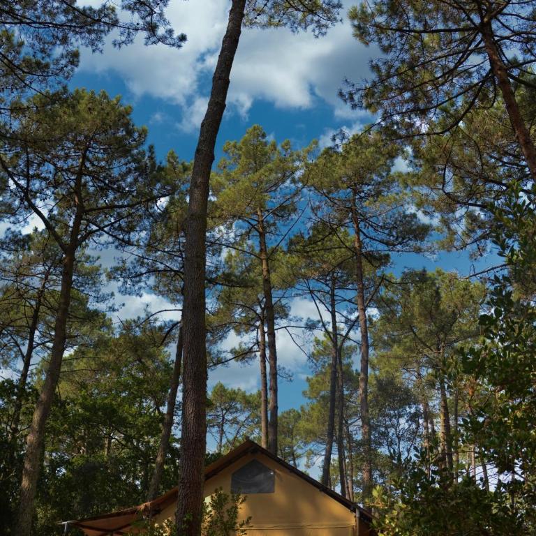 Lo Rey du Lac - Camping Pod - 6