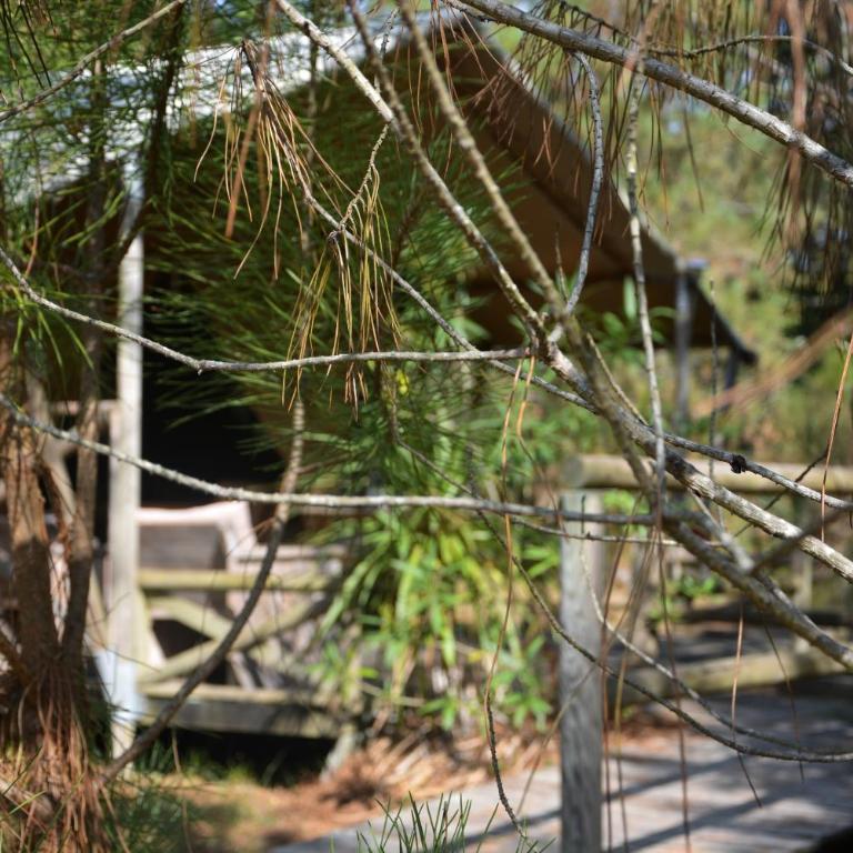 Lo Rey du Lac - Glamping Pod - 3