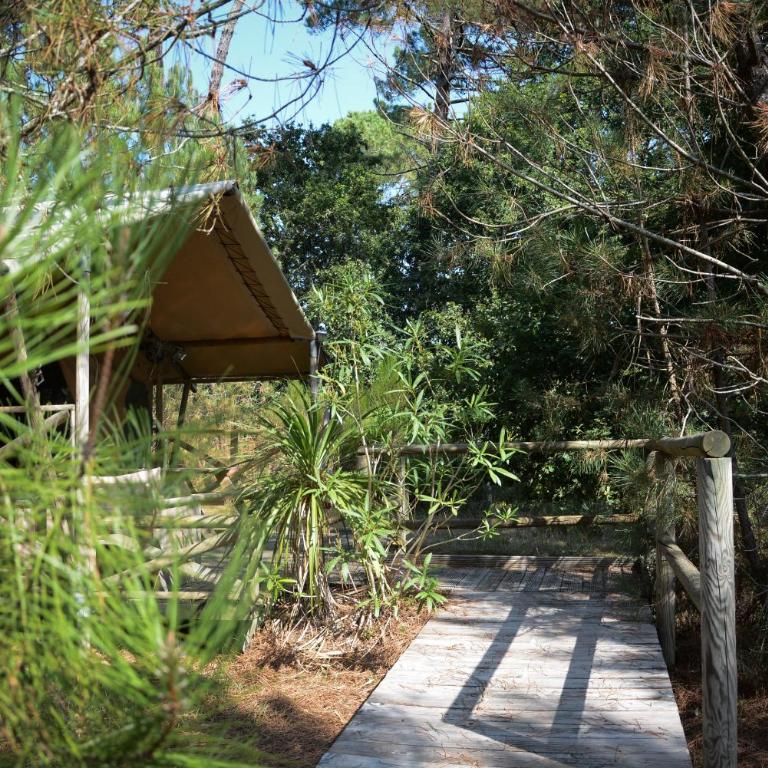 Lo Rey du Lac - Glamping Pod - 5